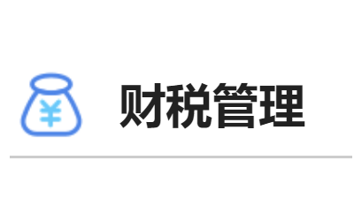 财税管理