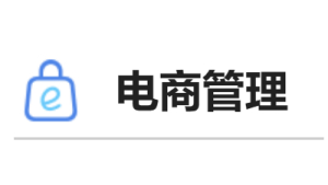 电商管理