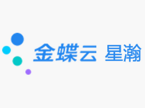金蝶云星瀚